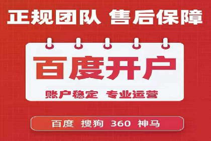 SEM代运营成功案例：打造行业领先品牌