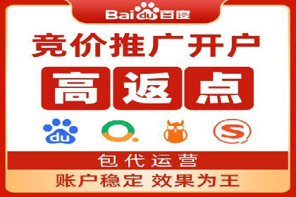 某电商平台的SEM推广实战经验